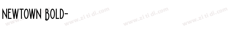 Newtown Bold字体转换
